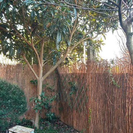 بيت ضيافة With Terrace And Loft With Garden In Naviglio Pavese ميلان