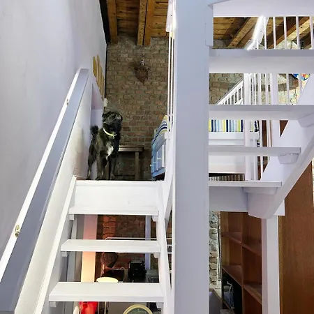 With Terrace And Loft With Garden In Naviglio Pavese Милан